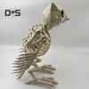 Halloween Skeleton Owl Decoration Realistic 12" Skeleton Animal Figure Plastic Owl Bone Model for Haunted House Party Decor