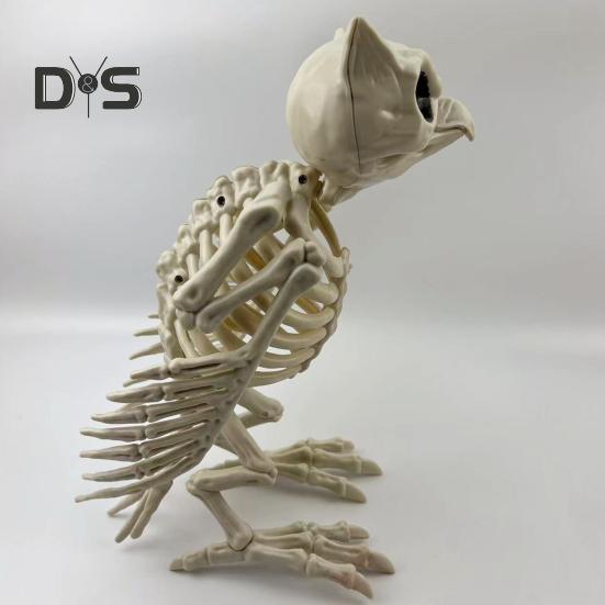 Halloween Skeleton Owl Decoration Realistic 12" Skeleton Animal Figure Plastic Owl Bone Model for Haunted House Party Decor