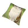 Decorative Pillowcase Meowl Cat Owl Meme Accessories Bed  Pillow Case Cover Zippered Multi-Size