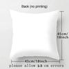 Dollar Bill Throw Pillow Case Decorative Throw Pillows Square Cushion Cover for Sofa Bed Car Chair Living Room 18x18 Inch