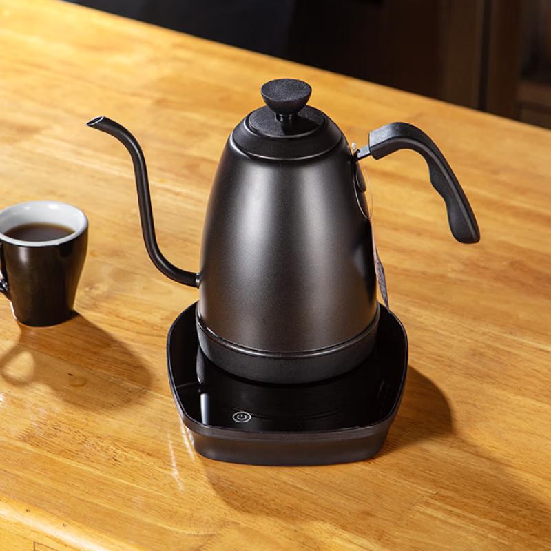 TLXT Elektrischer Wasserkocher für Kaffee & Tee