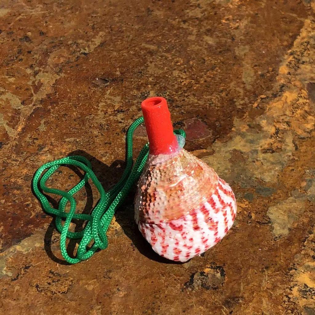 Street Stall Conch Shell Whistles & Toys: Creative Souvenirs