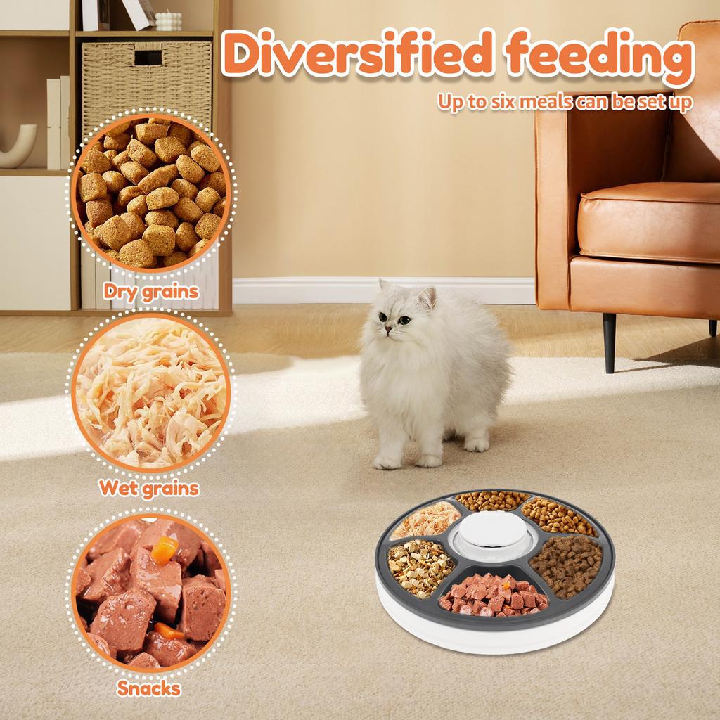 Dry Wet Food Cat Feeder with Timer 6 Meals Pet Food Auto Feeder Battery Powered Fresh Food Dispenser for Domestic Pets