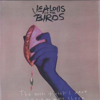 LP Schallplatte JEALOUS OF THE BIRDS - Die Motten dessen, was ich will, werden M 5679141 Canvasback, Han 2018 UK Rock fressen