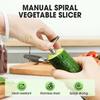 Stainless Steel Cucumber Spiral Slicer Portable Carrot Slicer Cutter  Vegetable Preparation