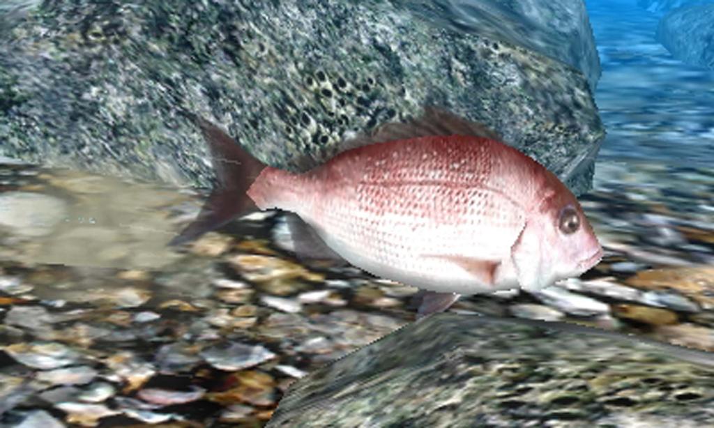 Fish Eyes 3D 3DS -