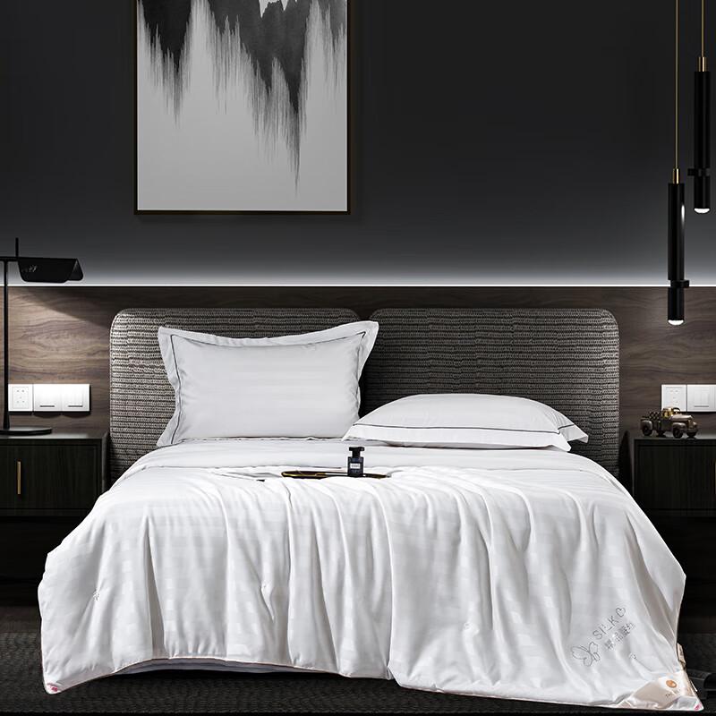 

Southern Life Handmade 60S Satin Polyester Summer Quilt