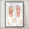 Scandinavian Simple Wall Art Acupuncture Points Diagram Anatomy Foot Reflexology Poster Print Home Bedroom Living Room Decor No Frame