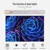 USB LED Plant Grow Light - Indoor Supplemental Light for Flowers, Bonsai, Succulents, 5V Small Table Lamp