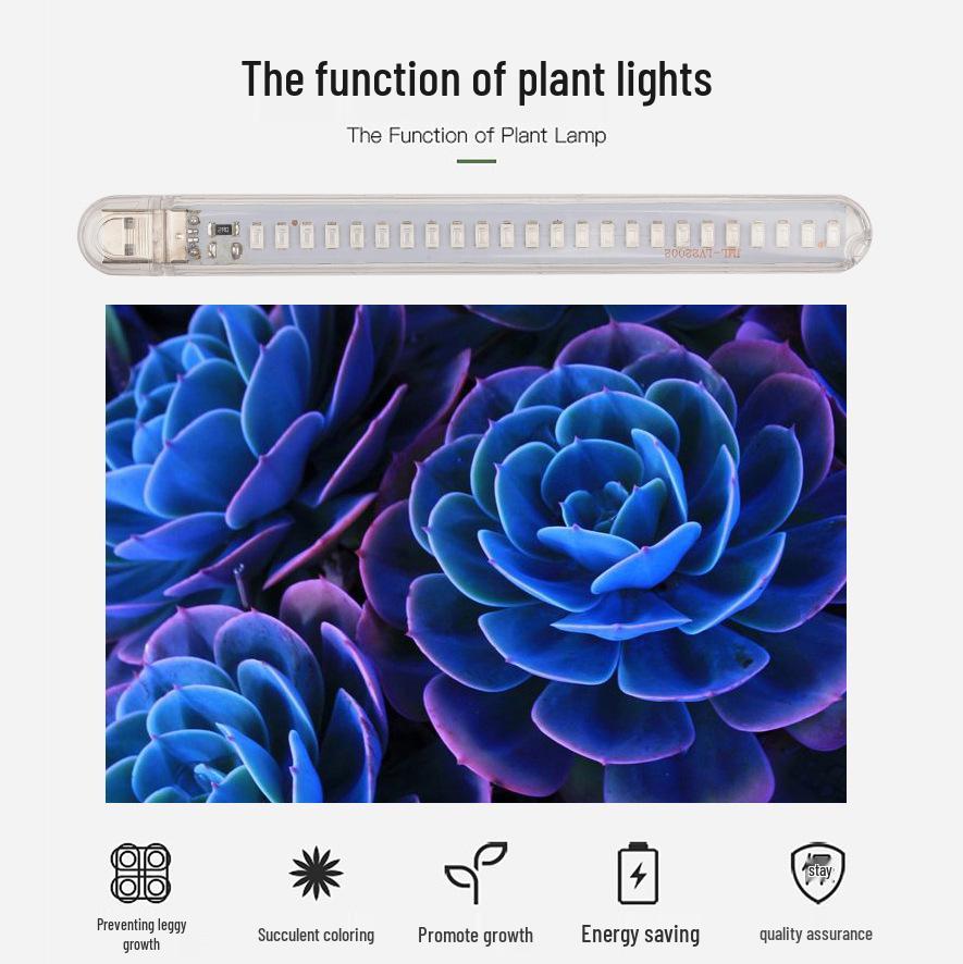 USB LED Plant Grow Light - Indoor Supplemental Light for Flowers, Bonsai, Succulents, 5V Small Table Lamp
