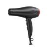 FJ100 2200W Professional Ionic Hair Dryer