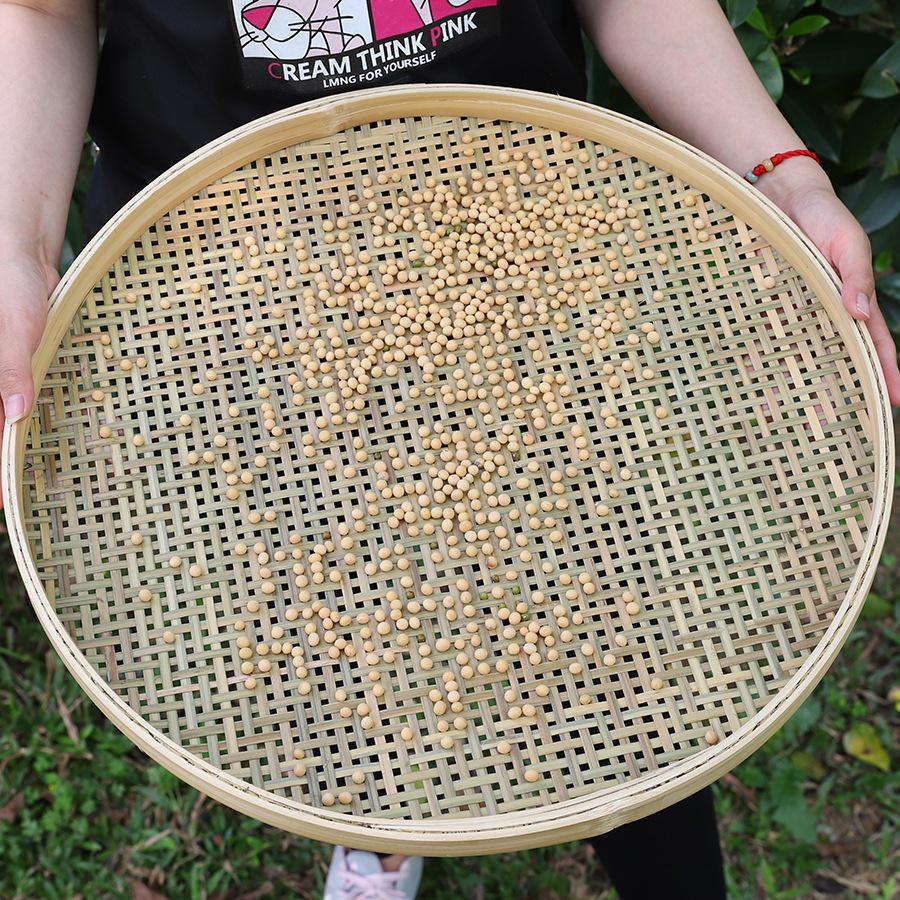 Large Handmade Bamboo Winnowing Basket: Round, Perforated Drying Sieve & Decorative Plaque