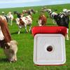 Special Purpose Salt Block Box Plastic Mineral Block Tray Lick Block Holder  Pasture Equipment