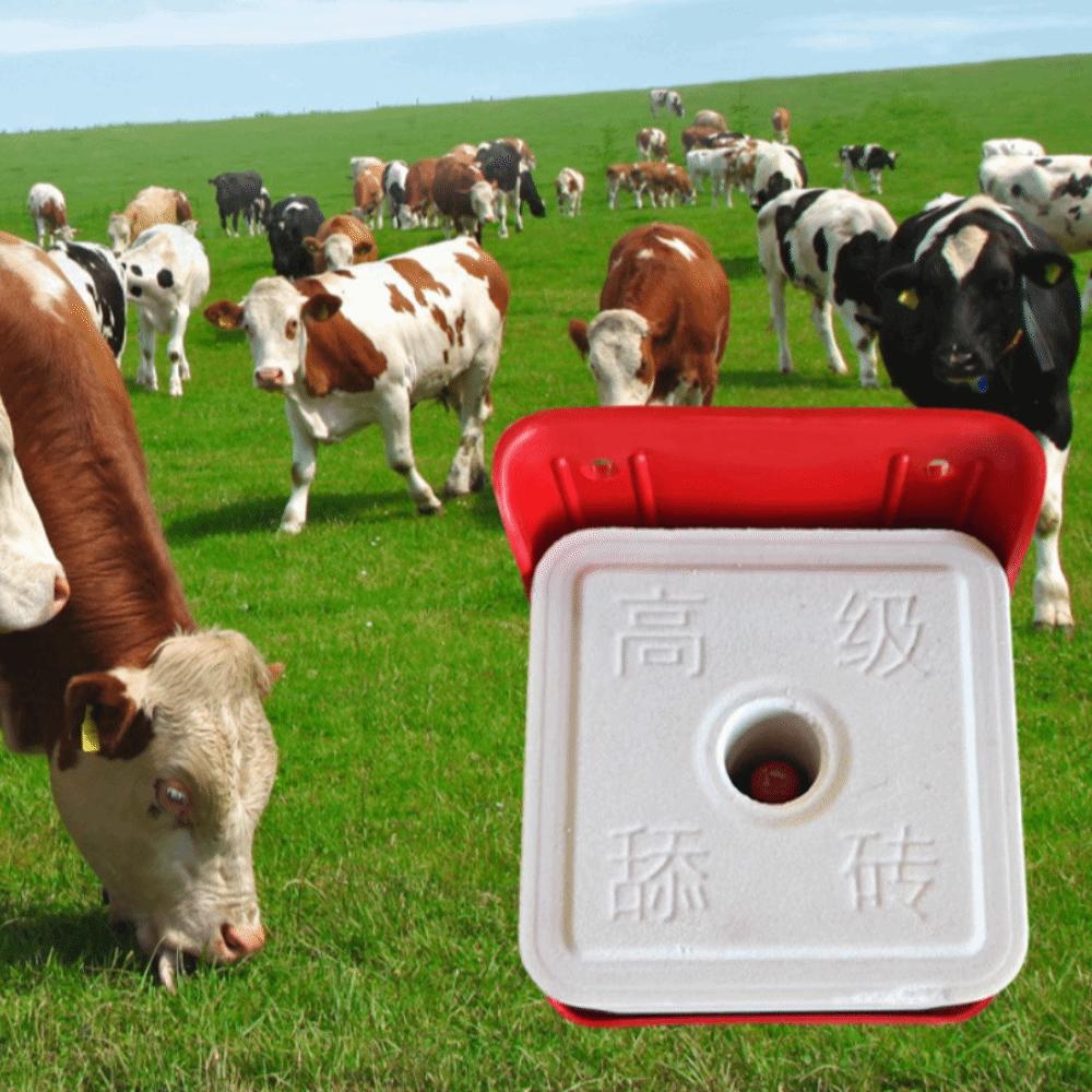 Special Purpose Salt Block Box Plastic Mineral Block Tray Lick Block Holder Pasture Equipment