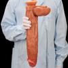 43*7.3 cm Ekstra Büyük Anal Plug Sıvı Silikon Yapay Yapay Penis Yetişkin Seks Oyuncak Fisitng Penis üzerinde Kayış Büyük Dick Gerçekçi Horoz