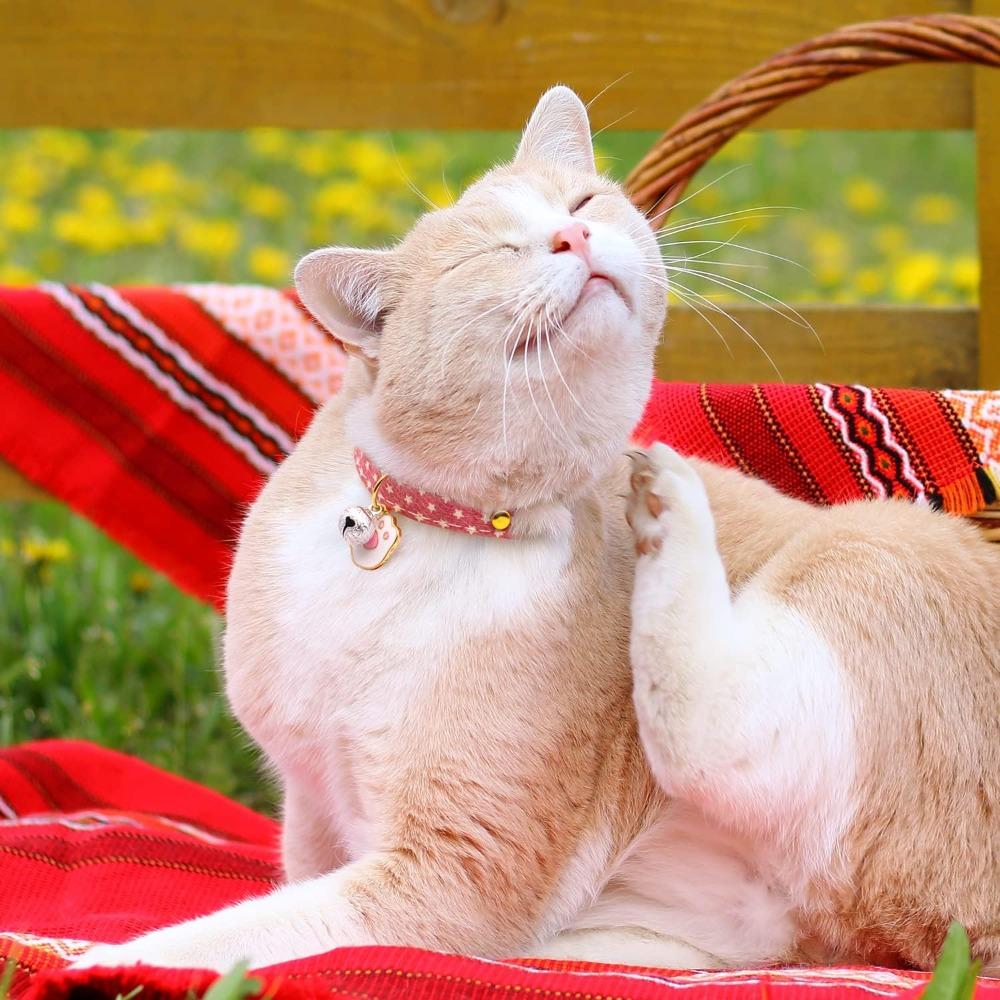 Cotton Cotton Breakaway Cat Collar with Bell 2.5 Inch Cute Accessory Multipurpose Pet Collar  Pet