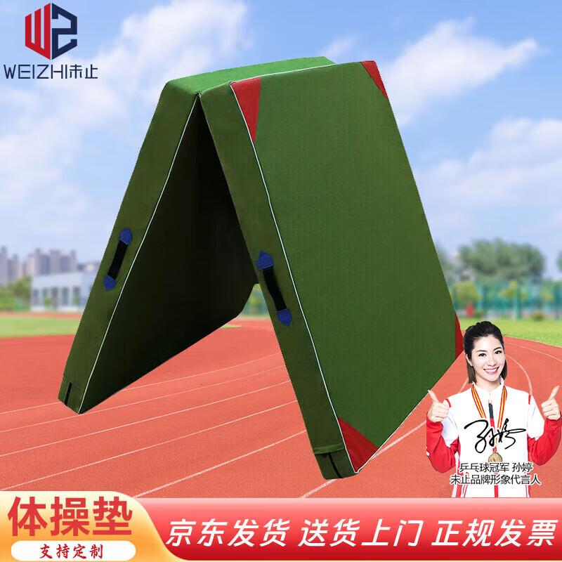 Foldable Gymnastics & Sit-up Mat