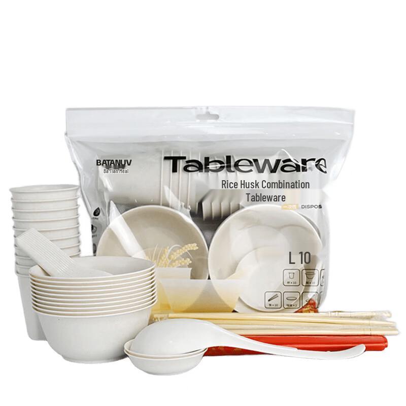 BATANUV Disposable Tableware Set for 10