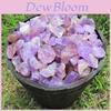 Natürlicher Grober 100g Amethyst Kies Stein Quarz Kristall Edelstein Dekor Zuhause