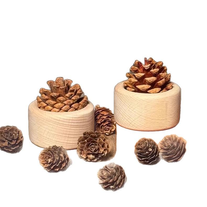 Pine Cone Flameless Diffuser for Bedroom – Newcomer Discount Available