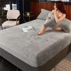 Bedding Set Thicken Velvet Bed Cover Elastic Bed Sheets Set Mattress Cover Winter Milk Velvet Sleeping Mattress Topper