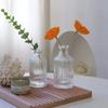 1pcs/set Light Luxury Transparent Vases for Plant Bottle Flower Pot Hydroponic Terrarium Arrangement Container Flower Table Vase