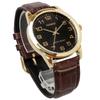 Casio Analog Quartz Watch Gold and International No Presentation Simple Packaging Men's MTP-V001GL-1B, Black, Model, Box,