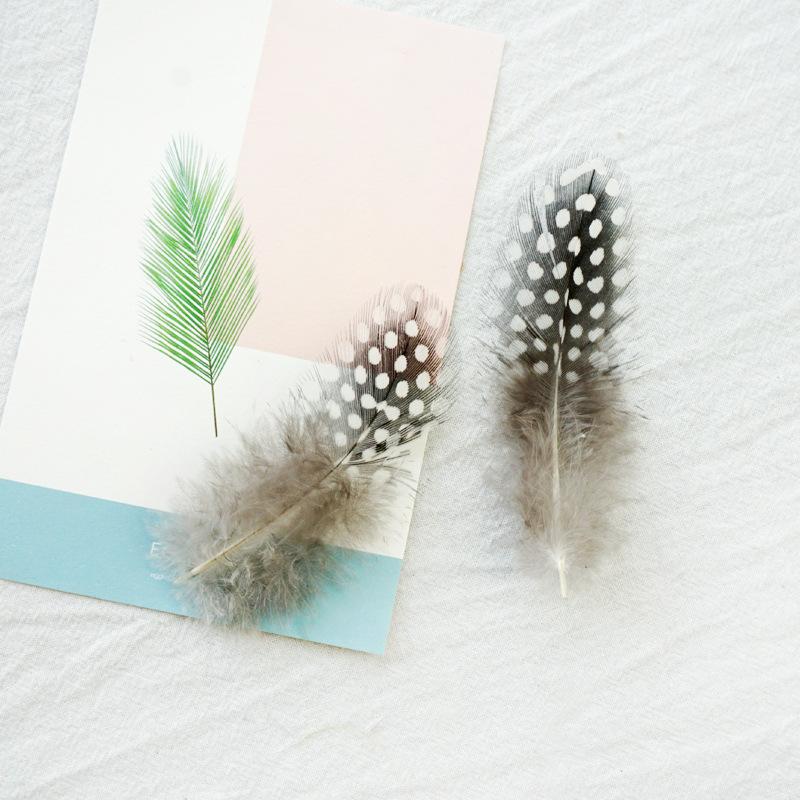 

Various Primary Color Pheasant Hair Diy Handmade Materials Earrings Cat Stick Decorative Feathers