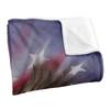 JQ Licensing American Silky Eagle Supersoft Blanket