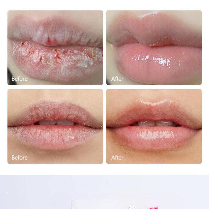 Herbst- und Winter-Lippenbalsam zur Aufhellung von Lippenfältchen Feuchtigkeitsspendende Hydratation Toot Lip Lippenbalsam