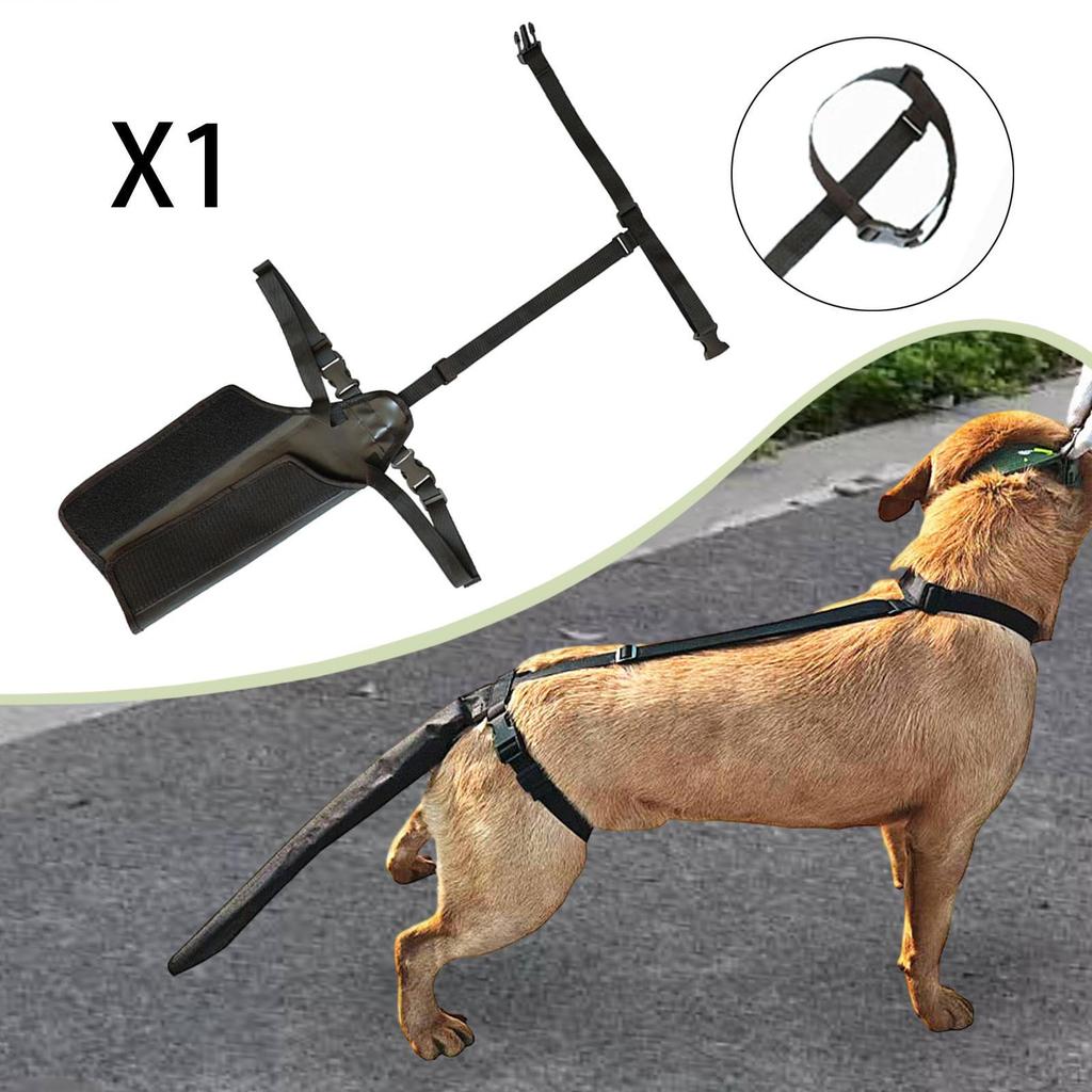 For Medium And Large Dogs - Ideal Outdoor Activities