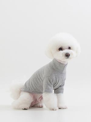 Foreverybari Turtleneck T-shirt (gray)