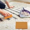 Easy Grip Pet Hair Remover Reusable Carpet Scraper Cat Dog Hair Scraper  for Couch Trimmer