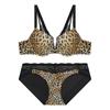 Leopard Lace Point Bra + Panty Set Br gdwBr921 Bp921 