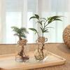 Hyazinthenvase Transparent Blumenpflanzenflasche Topf DIY Ornamente Haus Wohnzimmer Gartendekoration Schreibtischdekorationen Blumenvase