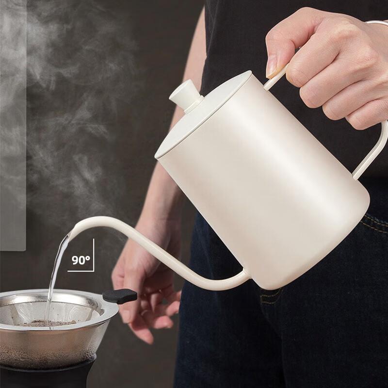 Royalstar Classic Pour Over Coffee Kettle