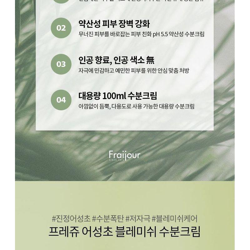 Fraijour - Heartleaf Blemish Feuchtigkeitscreme