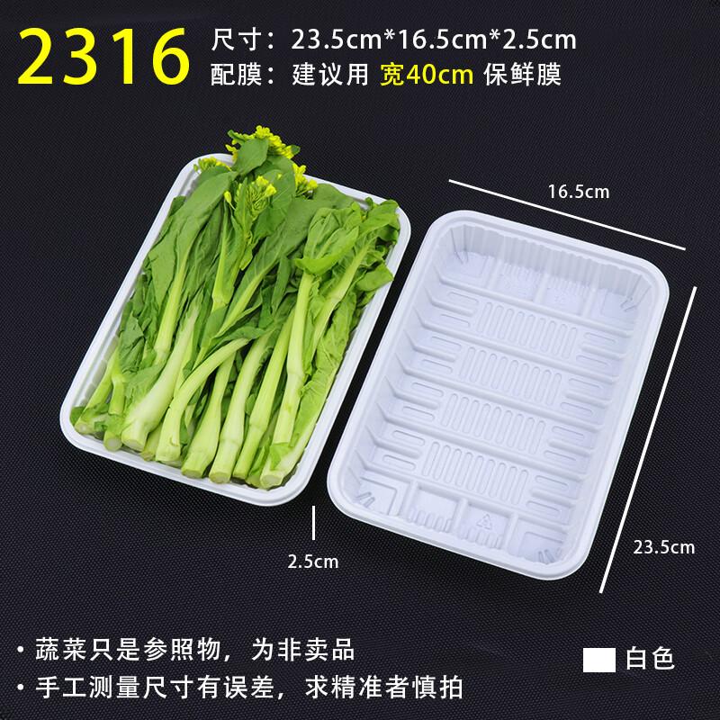 MOLUONA Disposable PP Rectangular Food Trays