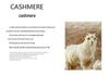 2023 Autumn/Winter Women's Polo Collar Cashmere Cardigan: Slimming, Fashionable, Loose-Fit, Long Sleeve Sweater