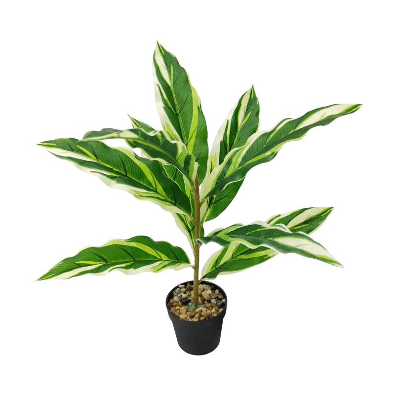 Desktop Rubber Tree & Aspidistra Potted Plant - Bionic Green Landscape Ornament