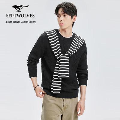 Men's Textured Crew Neck Long Sleeve Knit Sweater