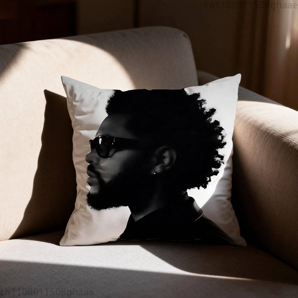 The Weeknd XO  Pillow Case Antidustmite Pillowcase Invisible zipper silky short plush Sofa cushion cover
