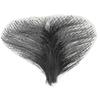 Soft Fake Pubic Hair Men Women Breathable Synthetic Fake Private Hair Accessory for Adding Hair Volume hwy