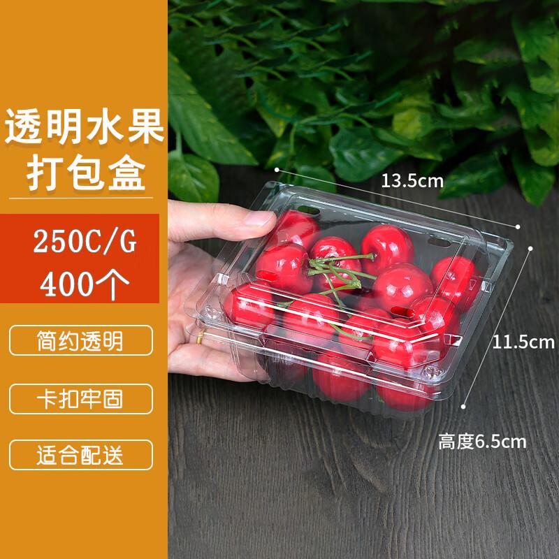 Homeglen Transparent Plastic Fruit Containers