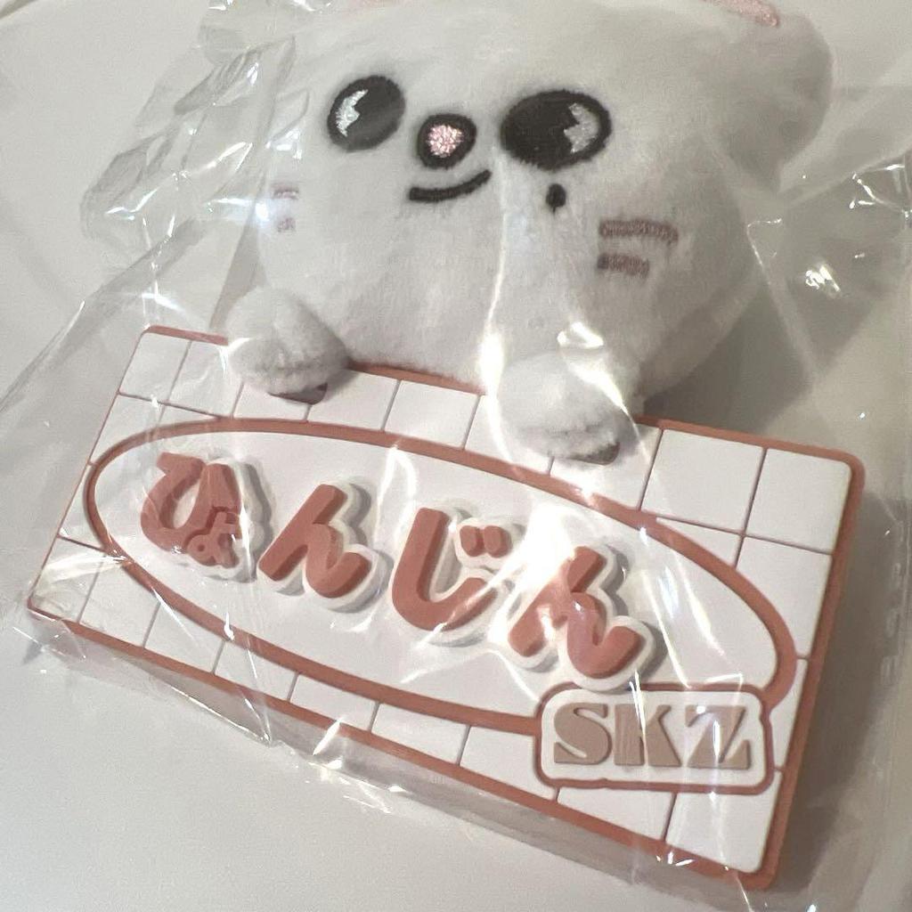 [USED] Stray Kids TOY WORLD Fan Meeting Name Bag Charm Hyunjin