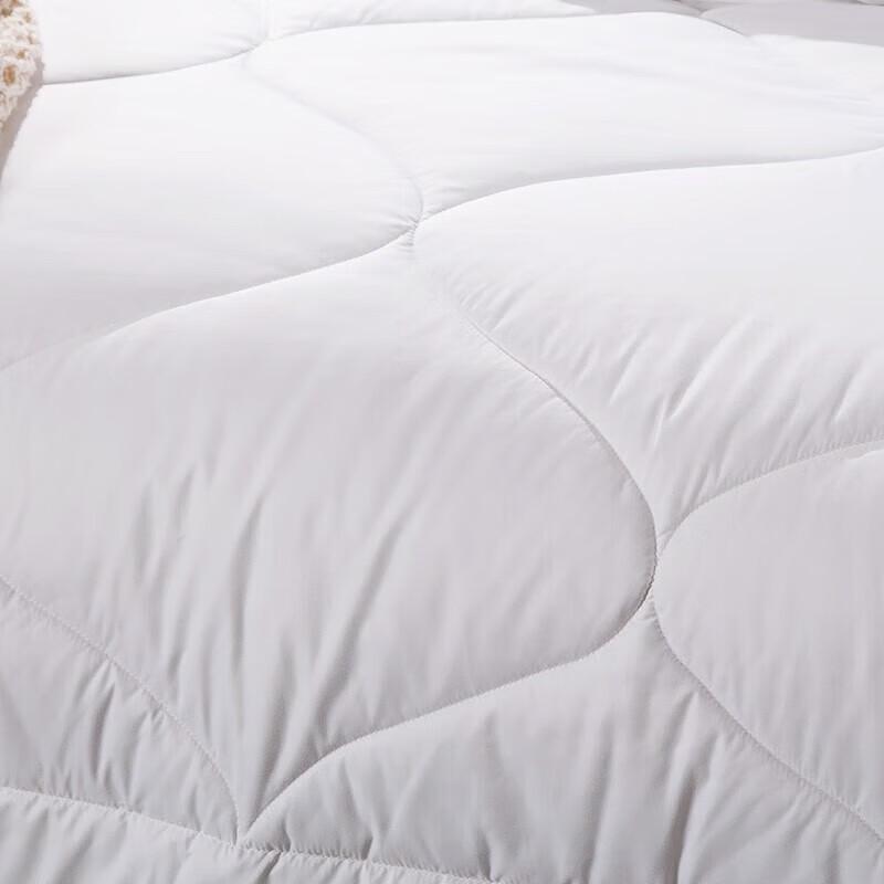 LUOLAI Surui All-Season Australian Wool Quilt