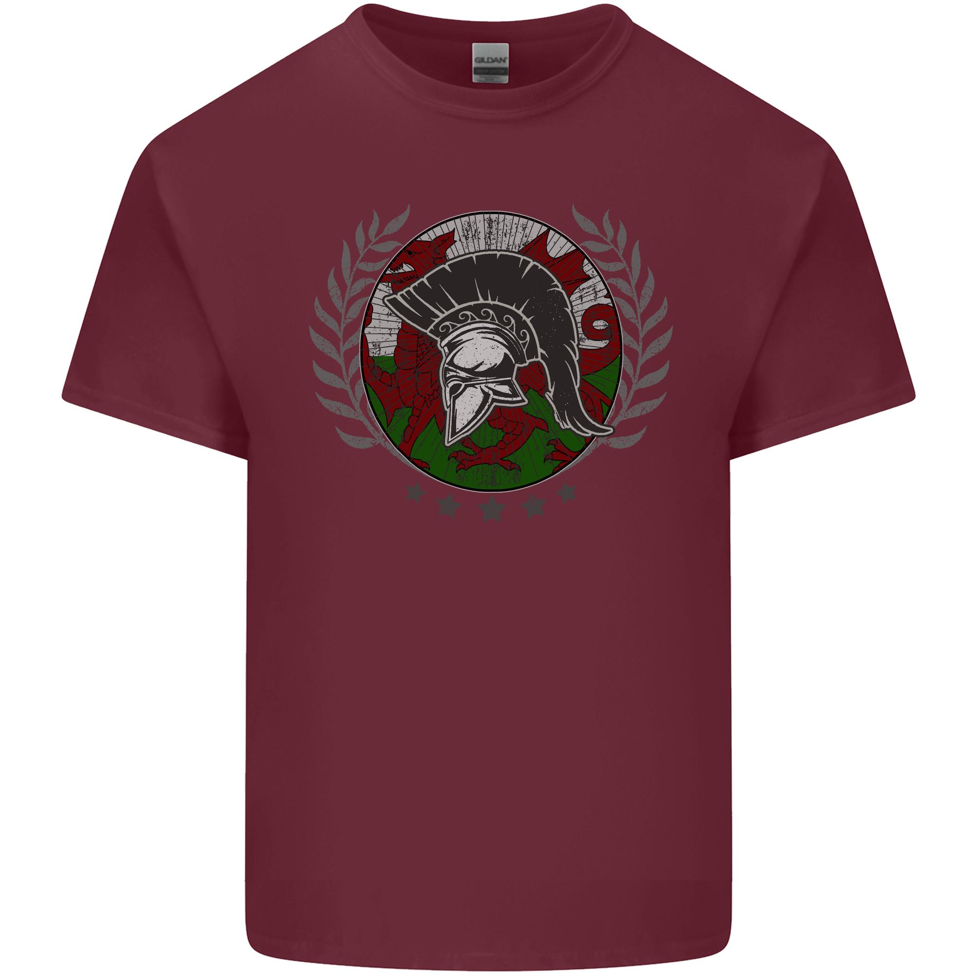Welsh Bodybuilding Flag Gym Training Wales Unisexs Light Cotton TShirt S