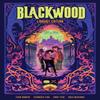 Blackwood Library Edition by Andy Fish Hardback Book 9781506731834