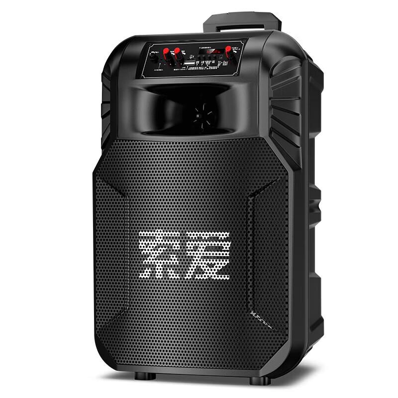Soaiy SA-T25 Portable Bluetooth Karaoke Speaker