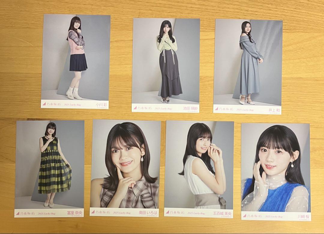 

[ИСПОЛЬЗОВАННЫЙ] Nogizaka46 2025 Lucky Bag Calendar Costume Raw Photo 5th Generation